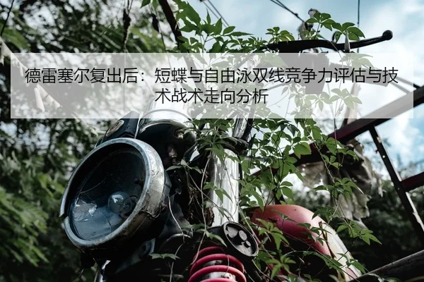 de-lei-sai-er-fu-chu-hou-duan-die-yu-zi-you-yong-shuang-xian-jing-zheng-li-ping-gu-yu-ji-shu-zhan-shu-zou-xiang-fen-xi-2-333.jpg